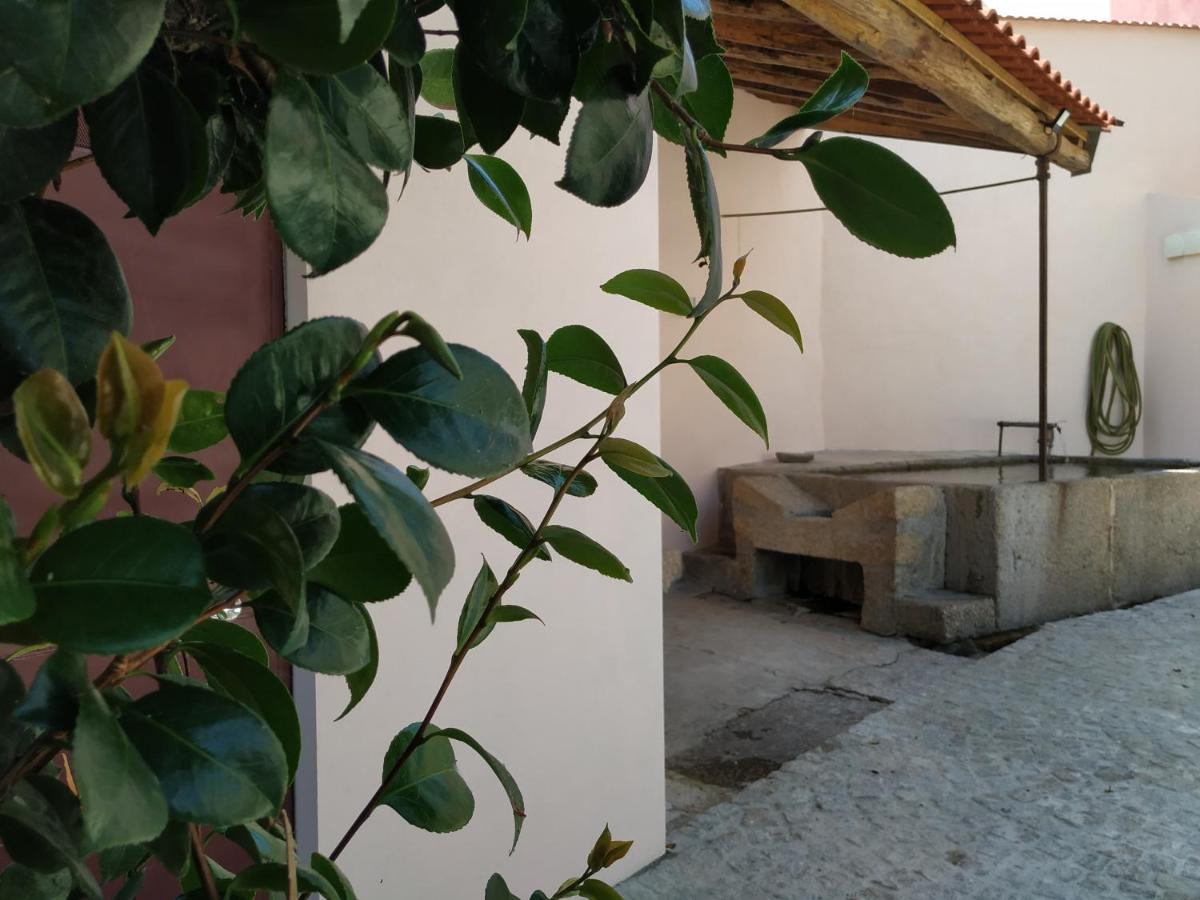 Ostello Entresocalcos Loriga Esterno foto